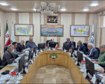 جلسه بررسی برخی لوایح