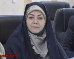 محمودیان: حل مسائل اجتماعی و تحقق مطالبات شهروندان، مستلزم هم افزایی میان دستگاههاست