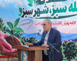 پویش «محله سبز، شهر سبز» در مسکن مهر منطقه پنج نجف‌آباد؛ تداوم نهضت کاشت درخت و توسعه فضای سبز شهری