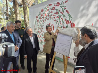 «جنت‌الشهدا نجف‌آباد در فهرست آثار ملی ثبت شد / آیین رونمایی با حضور استاندار اصفهان برگزار شد»