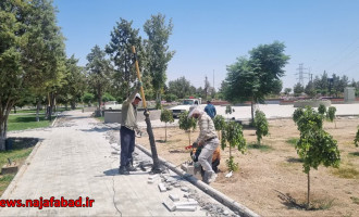 روشنایی پارک فیروزه منطقه چهار نجف‌آباد در پاسخ به مطالبه شهروندان اجرا می‌شود