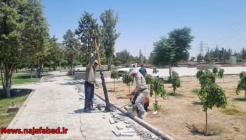 روشنایی پارک فیروزه منطقه چهار نجف‌آباد در پاسخ به مطالبه شهروندان اجرا می‌شود