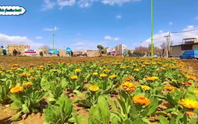 گلکاری / استقبال از نوروز با آماده سازی شهر نجف آباد 