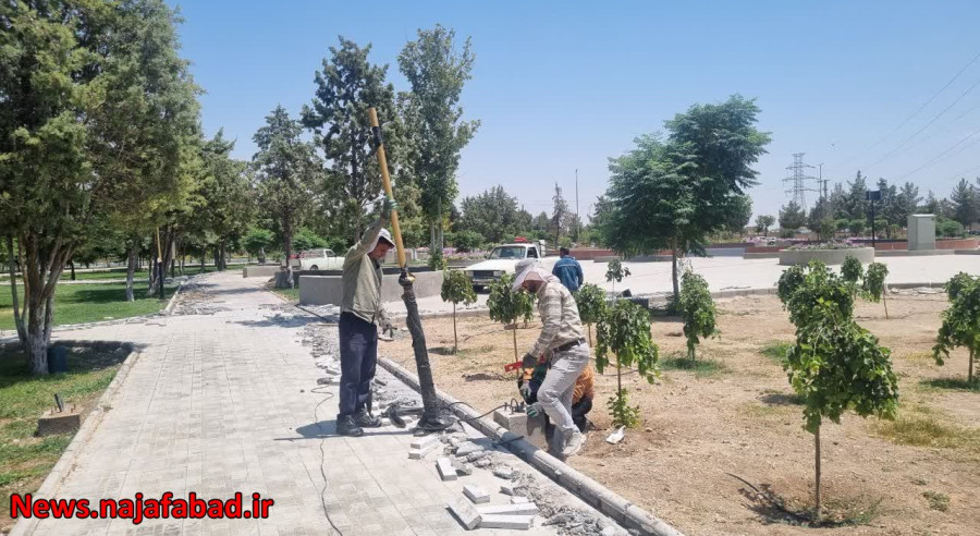 روشنایی پارک فیروزه منطقه چهار نجف‌آباد در پاسخ به مطالبه شهروندان اجرا می‌شود
