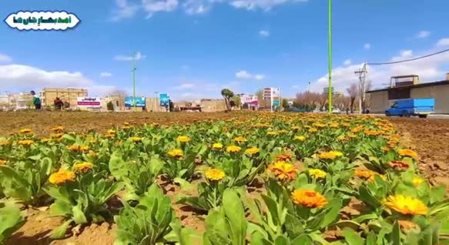 گلکاری / استقبال از نوروز با آماده سازی شهر نجف آباد 